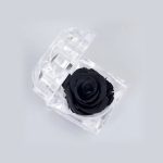 Black Color Real Rose Preserved Flower, Stays Fresh For Up To 5 Years