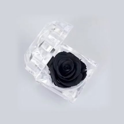 Black Color Real Rose Preserved Flower, Stays Fresh For Up To 5 Years