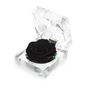 preserved-flower
